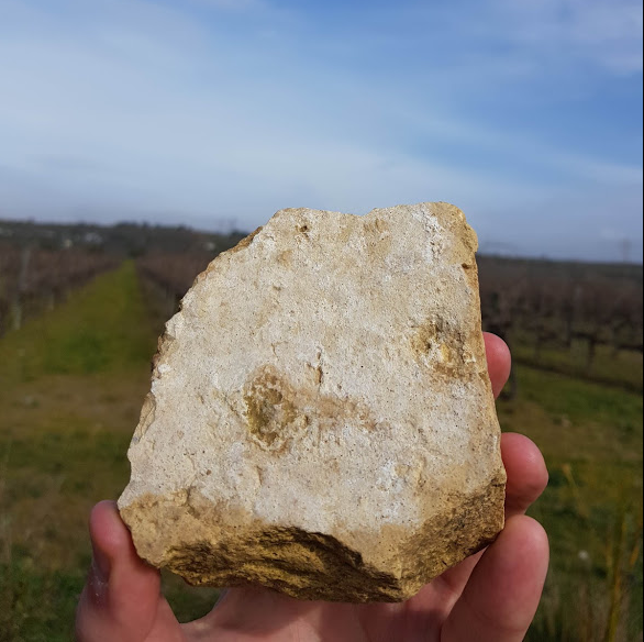 limestone soil for Cava